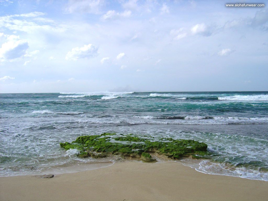 A Trilogoy adventure from Manele Bay north on Lanai