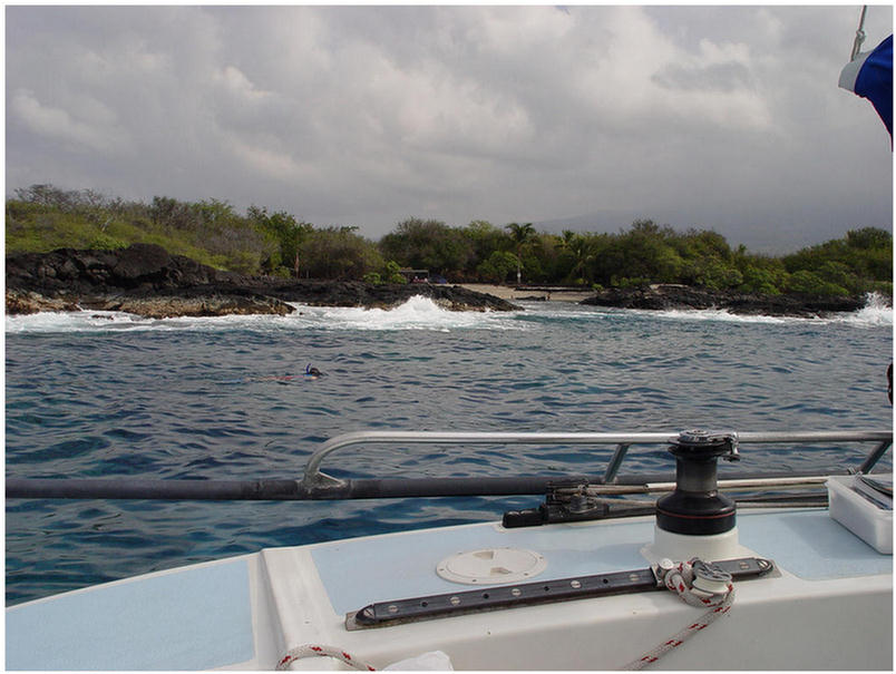 Kona Hawaii Snorkeling Adventure