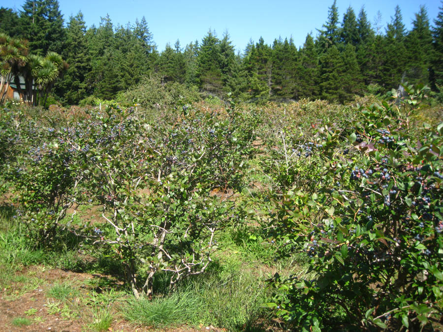 Day Three of the Oregon Road Trip Adventure