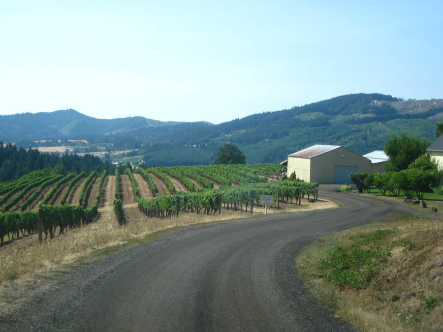Day five of the Oregon road trip adventure