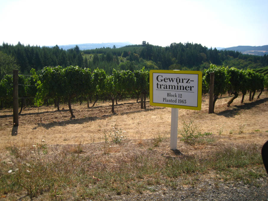 Day five of the Oregon road trip adventure