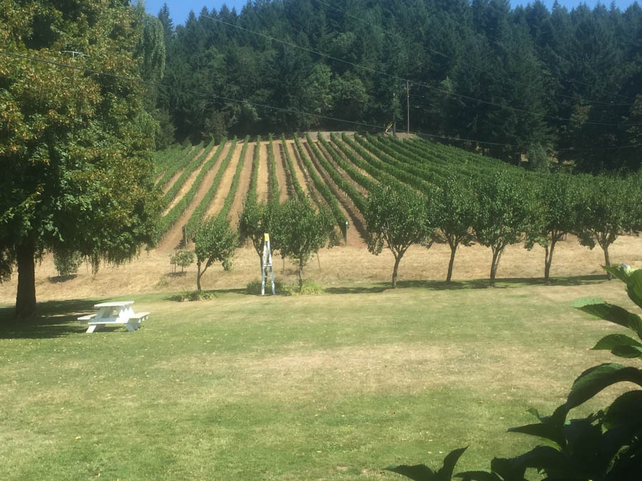 Day five of the Oregon road trip adventure