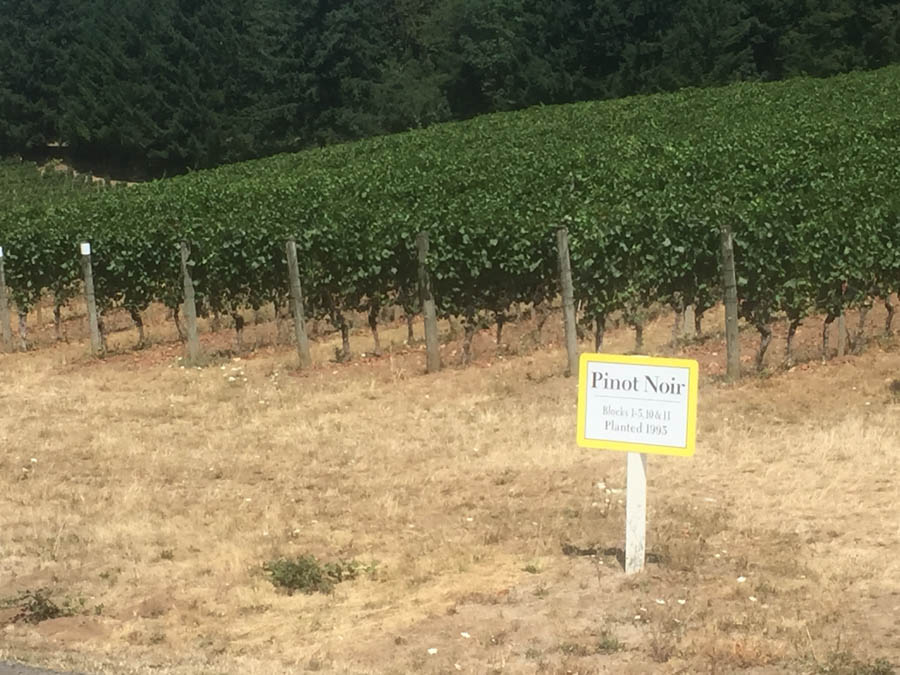 Day five of the Oregon road trip adventure