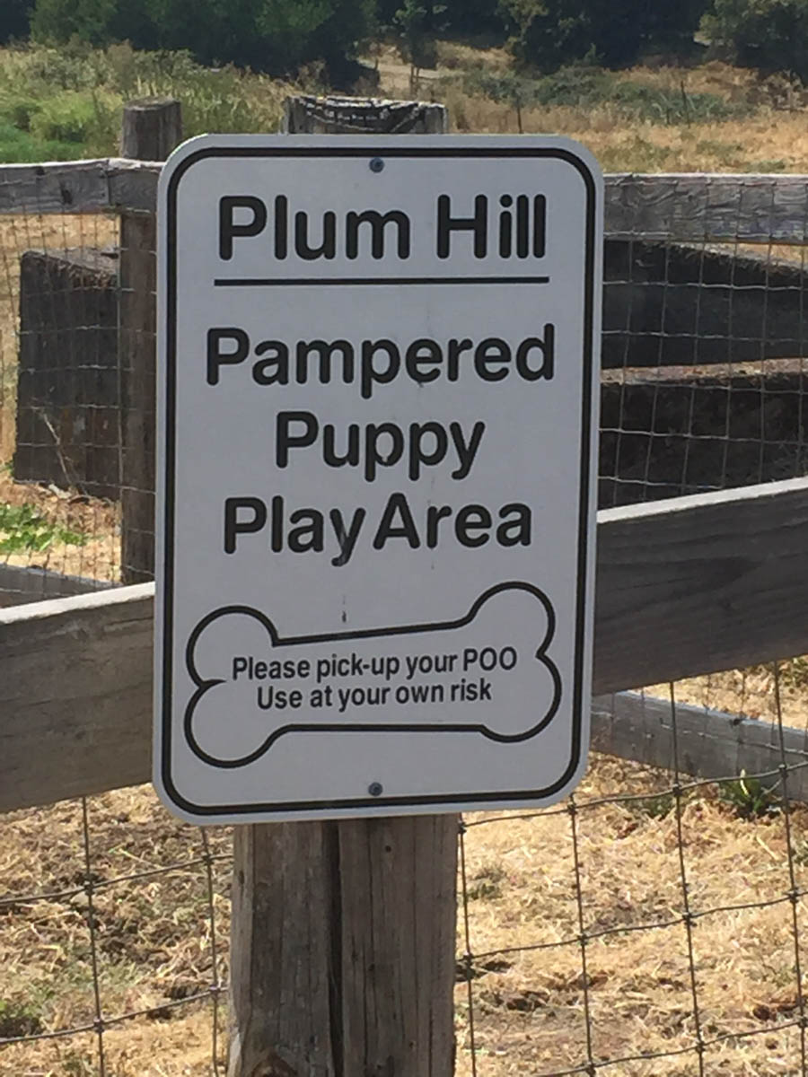 Day five of the Oregon road trip adventure