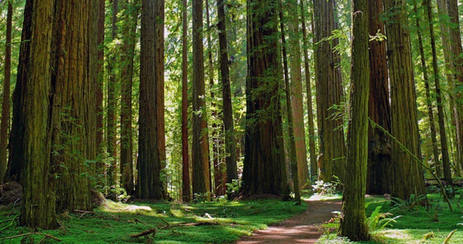 Day Two of our Oregon Road Trip Adventure