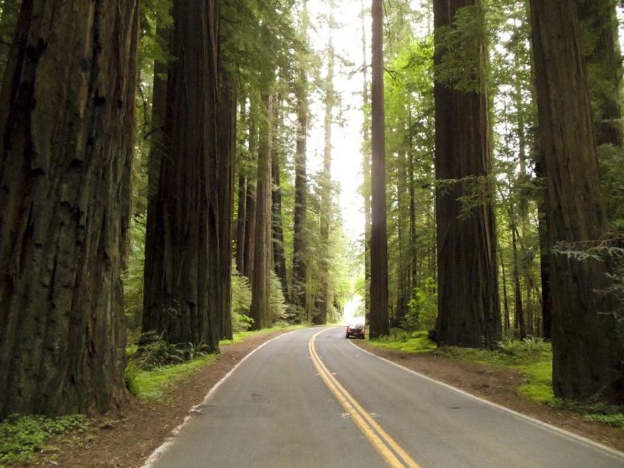 Day Two of our Oregon Road Trip Adventure