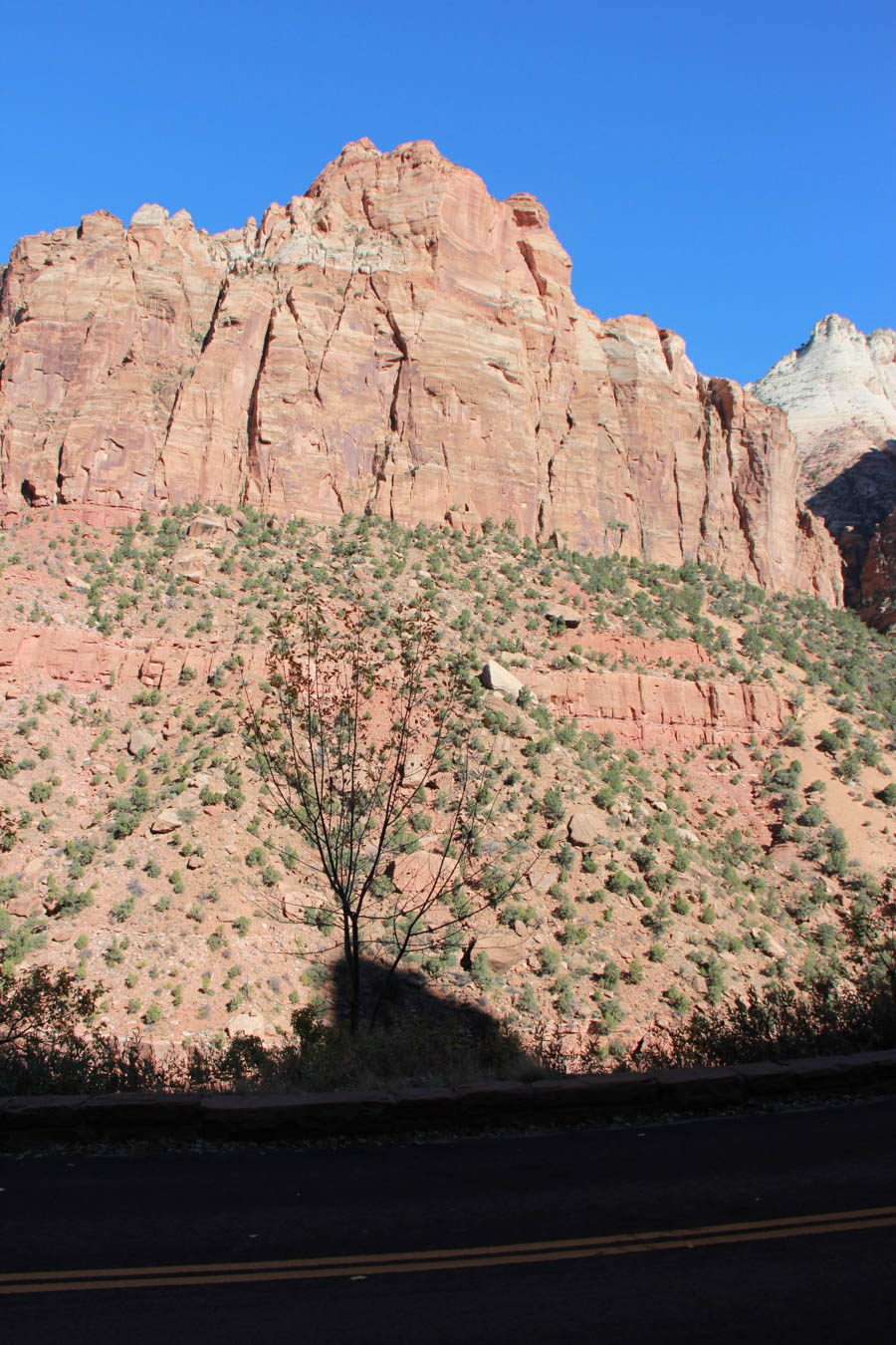 Zion National Park November 2016