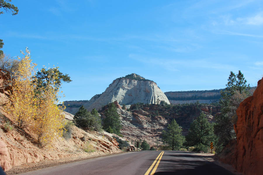Zion National Park November 2016