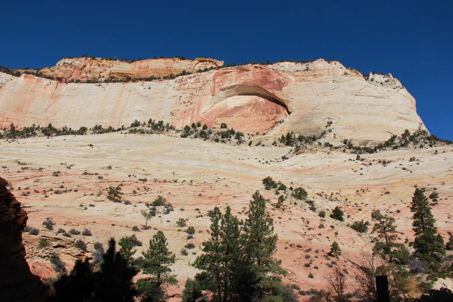Zion National Park November 2016