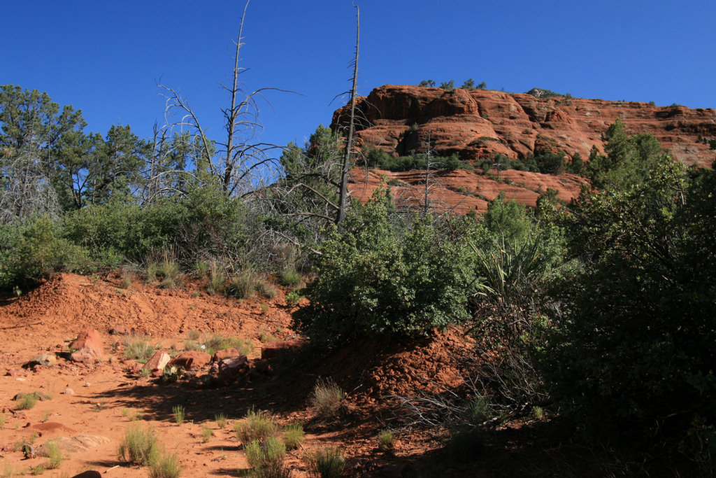 Sedona Jeep 2008