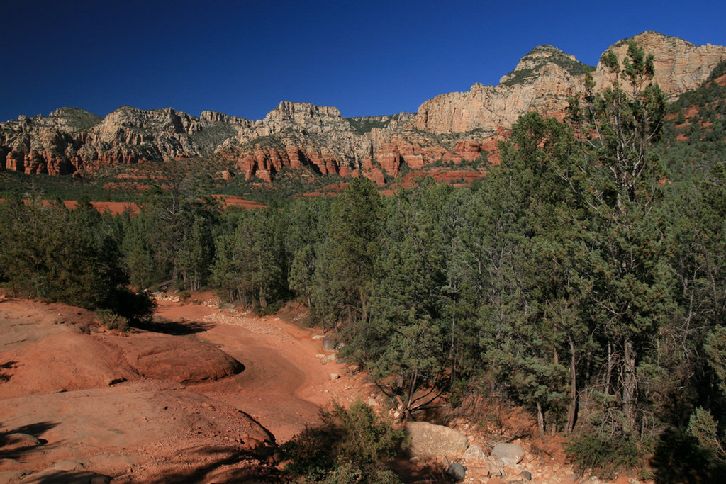 Sedona Jeep 2008