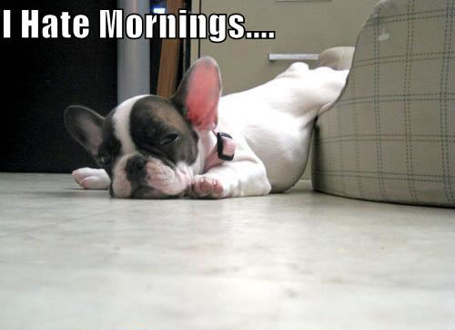 I hate mornings