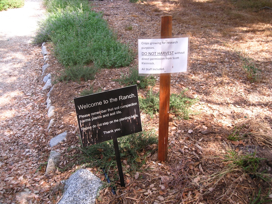 A visit to the educational center at the Huntington Gardens