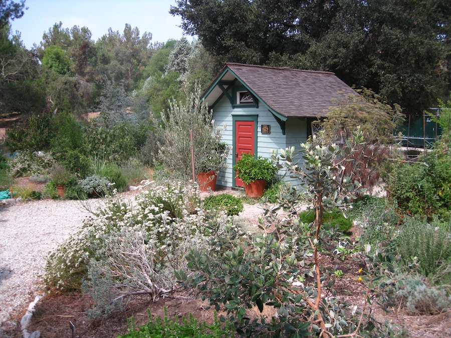 A visit to the educational center at the Huntington Gardens