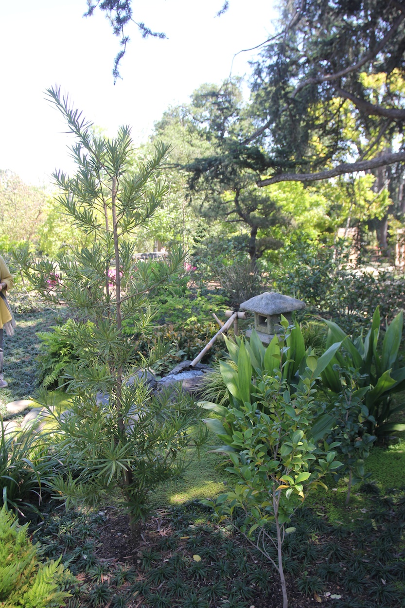 At the Huntington April 2013