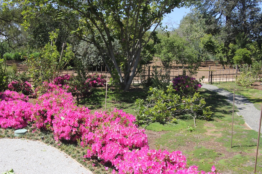 At the Huntington April 2013