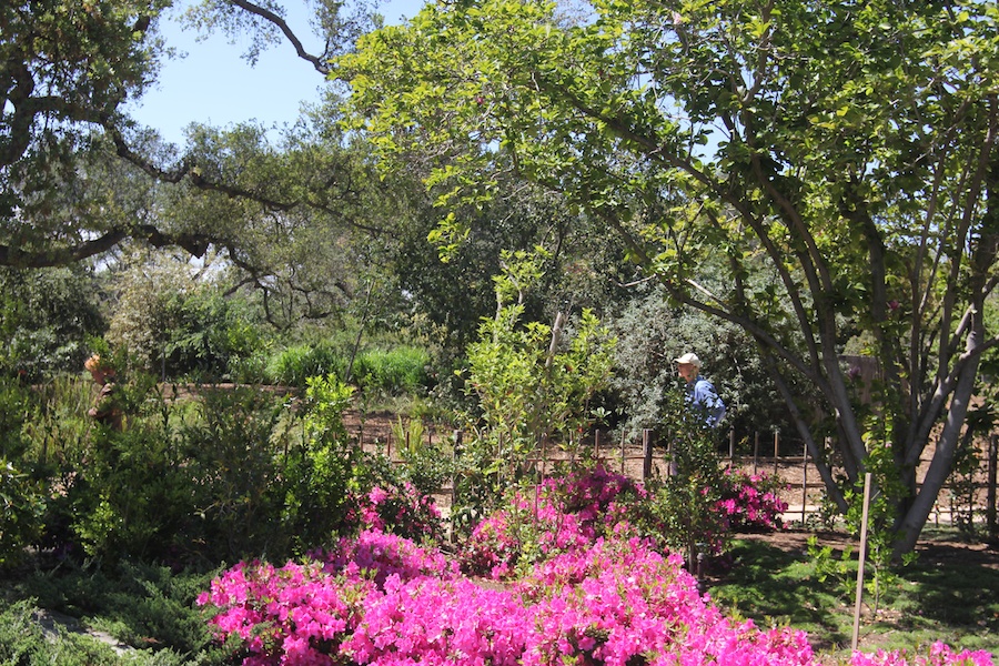 At the Huntington April 2013