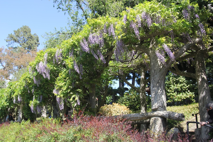 At the Huntington April 2013