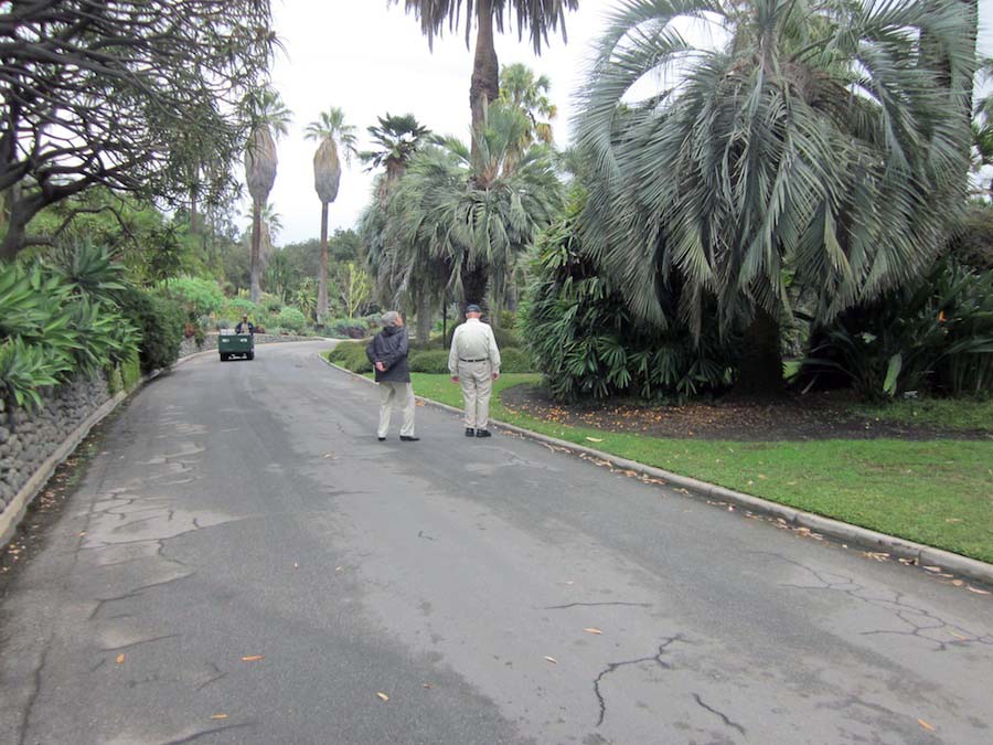 Huntington Gardens 10/9/2013