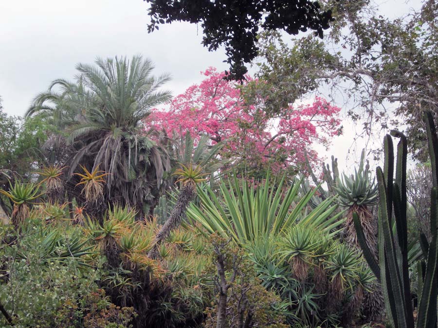 Huntington Gardens 10/9/2013