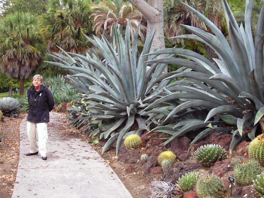 Huntington Gardens 10/9/2013