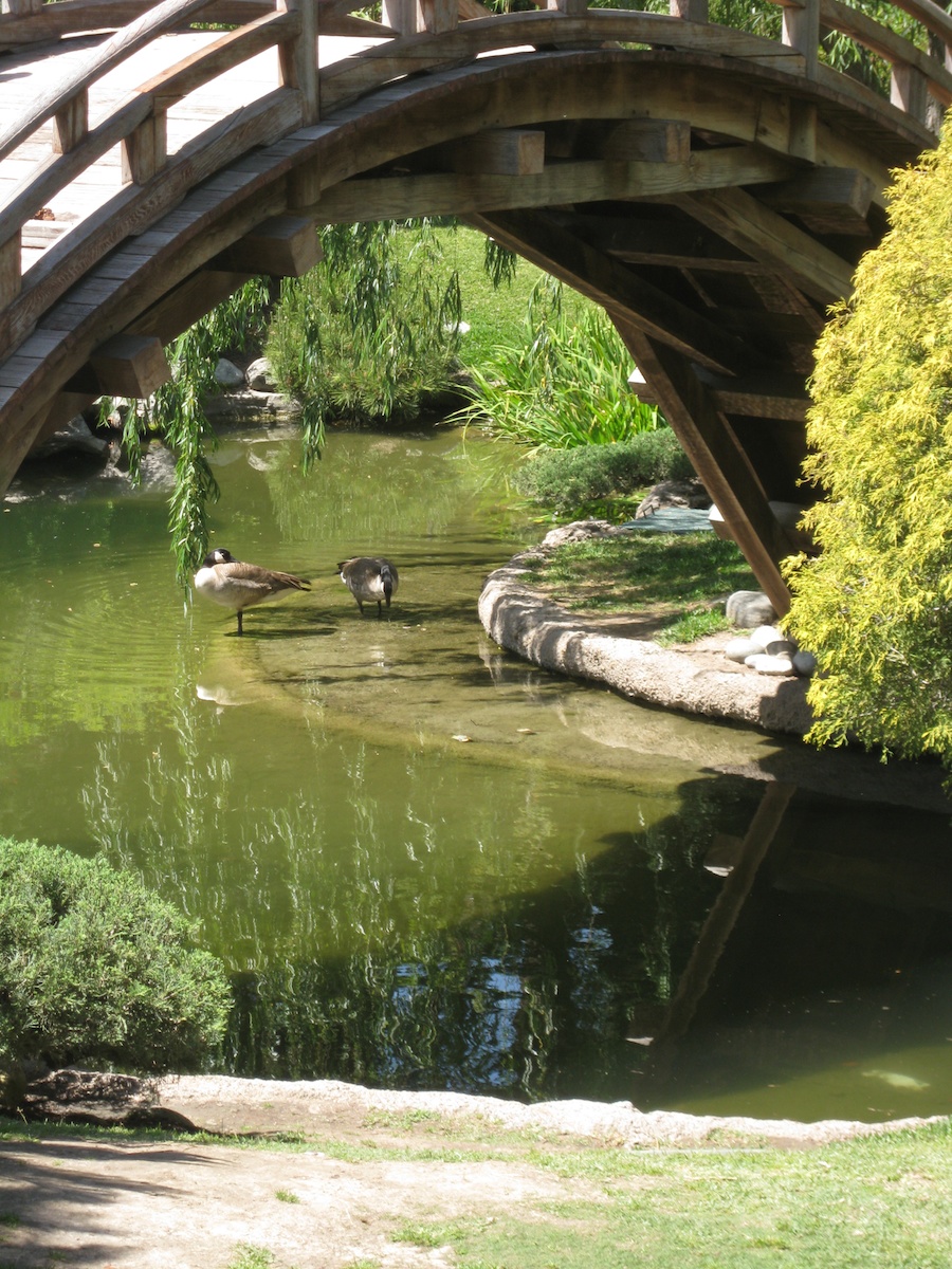 Huntington Gardens with the Porters 4/14/14