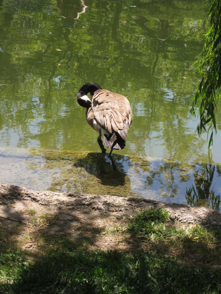 Huntington Gardens with the Porters 4/14/14