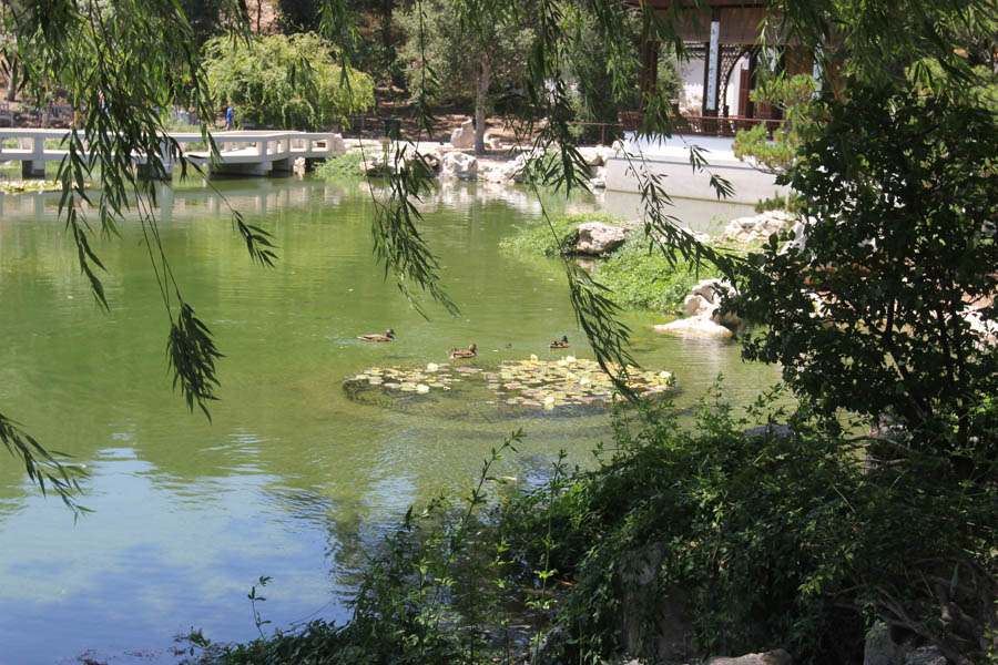 Visiting the Huntington Gardens July 13th 2015 with Charlotte and Greg