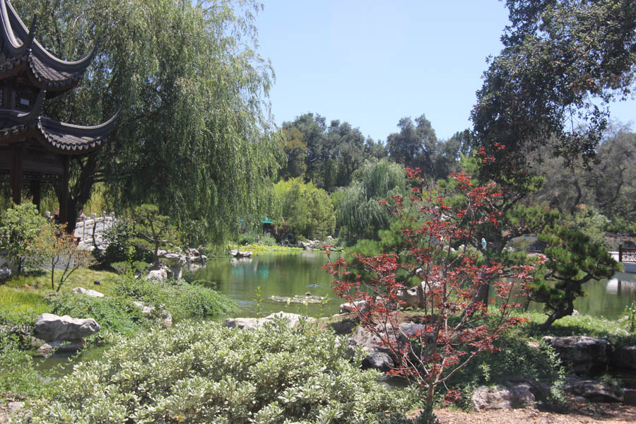 Visiting the Huntington Gardens July 13th 2015 with Charlotte and Greg