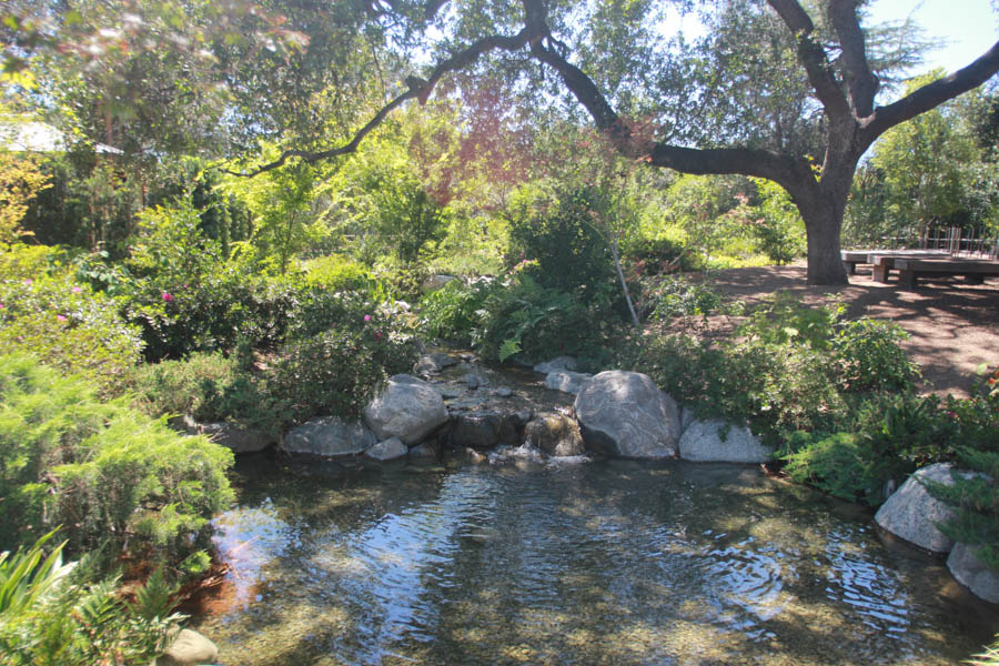 Visiting the Huntington Gardens July 13th 2015 with Charlotte and Greg