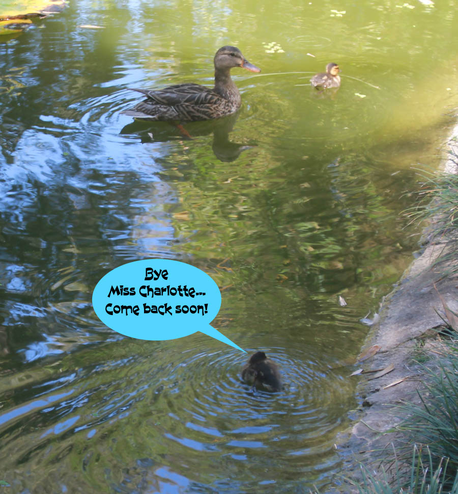 Visiting the Huntington Gardens July 13th 2015 with Charlotte and Greg