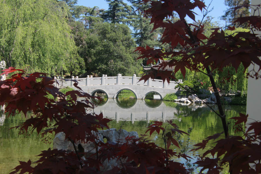 Visitig the Huntington with the Finchs and Greg MArch 2016