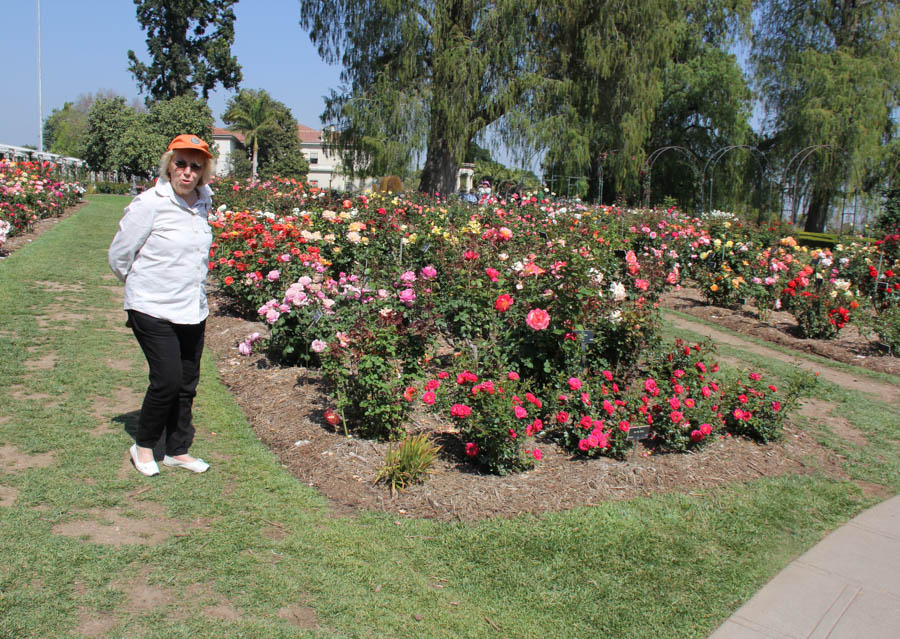 Visiting the Huntington April 2018 with the Finch's