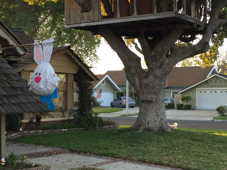 Walking in Rossmoor February 2016