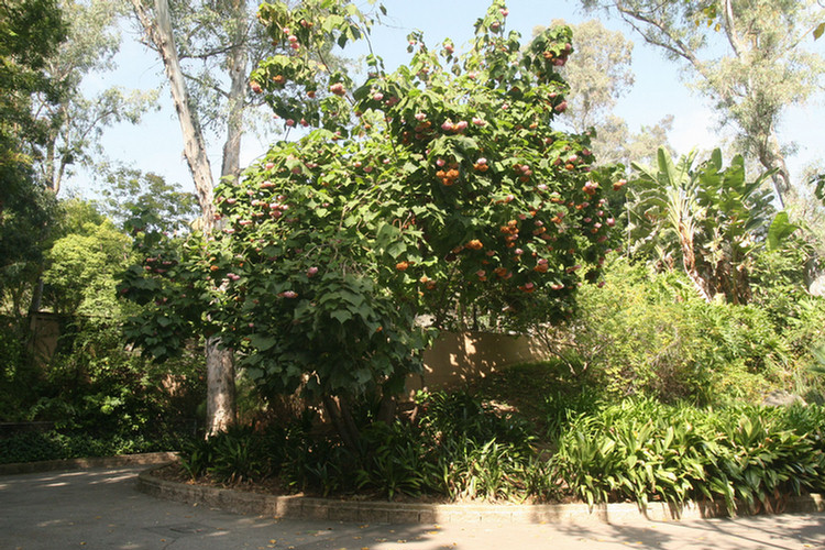 Los Angeles Zoo February 2010