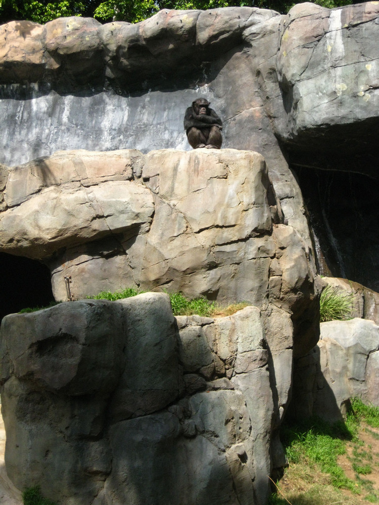 Los Angeles Zoo February 2010