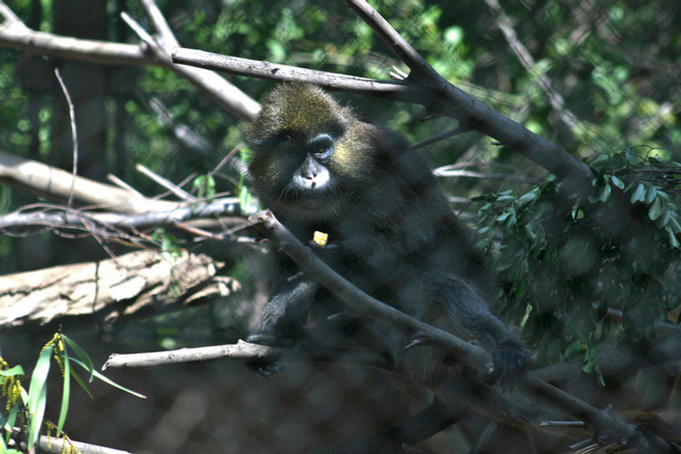 Los Angeles Zoo February 2010
