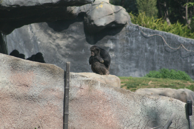 Los Angeles Zoo February 2010