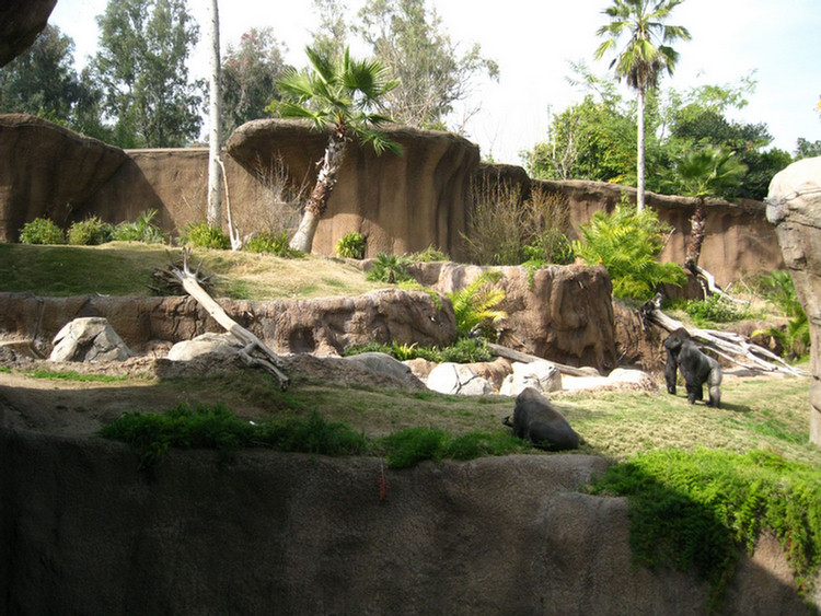 Los Angeles Zoo February 2010