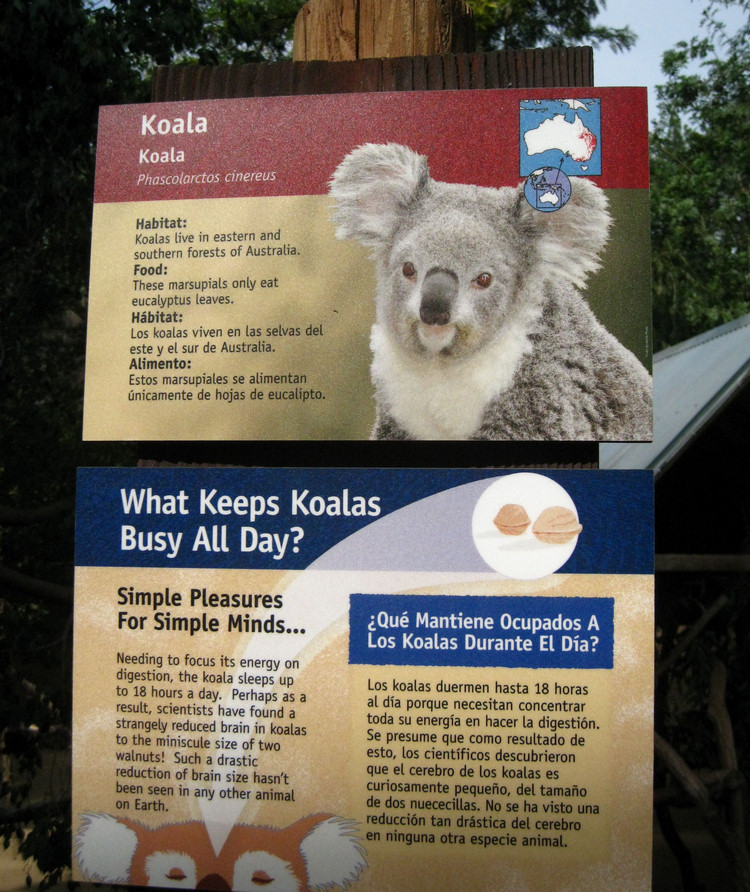 Los Angeles Zoo February 2010