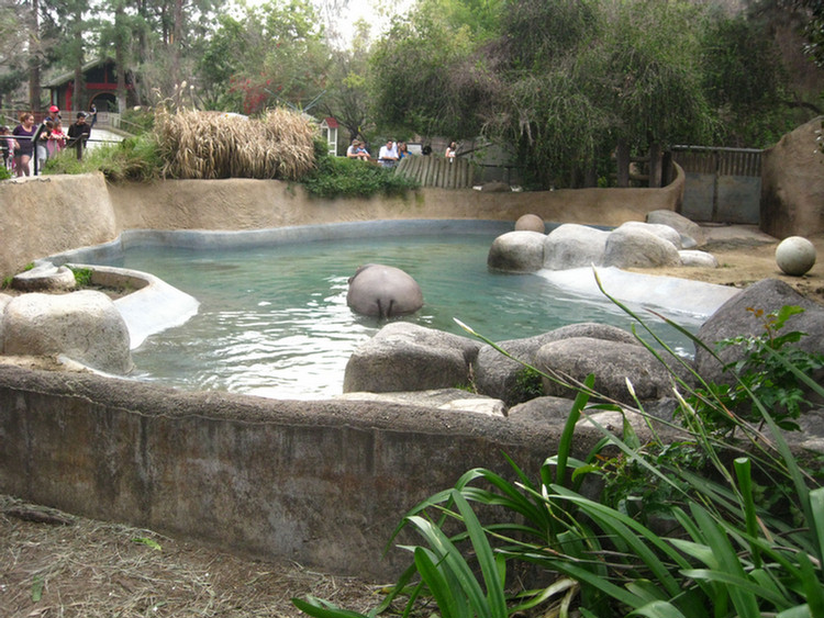 Los Angeles Zoo February 2010