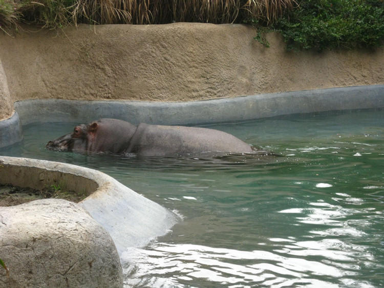 Los Angeles Zoo February 2010