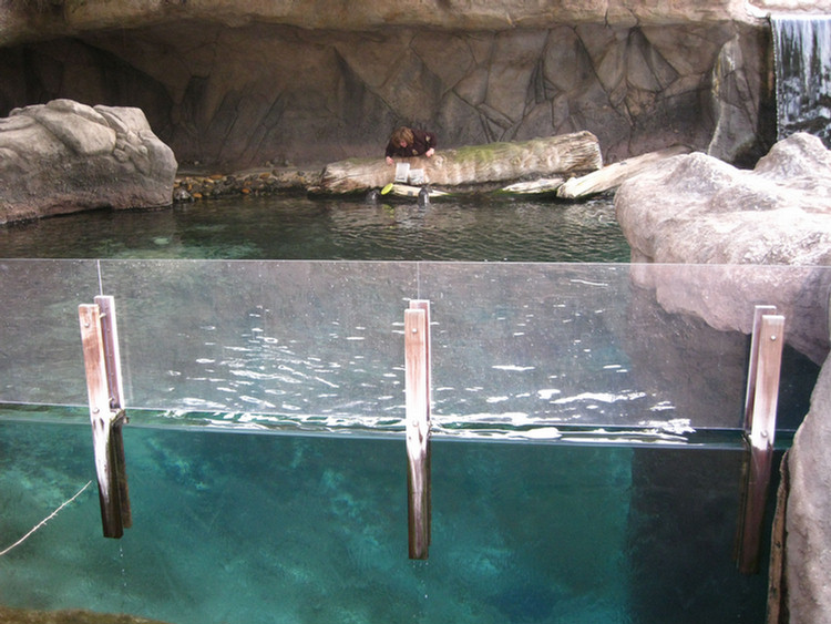 Los Angeles Zoo February 2010