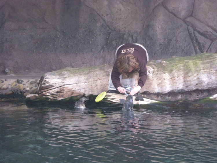 Los Angeles Zoo February 2010