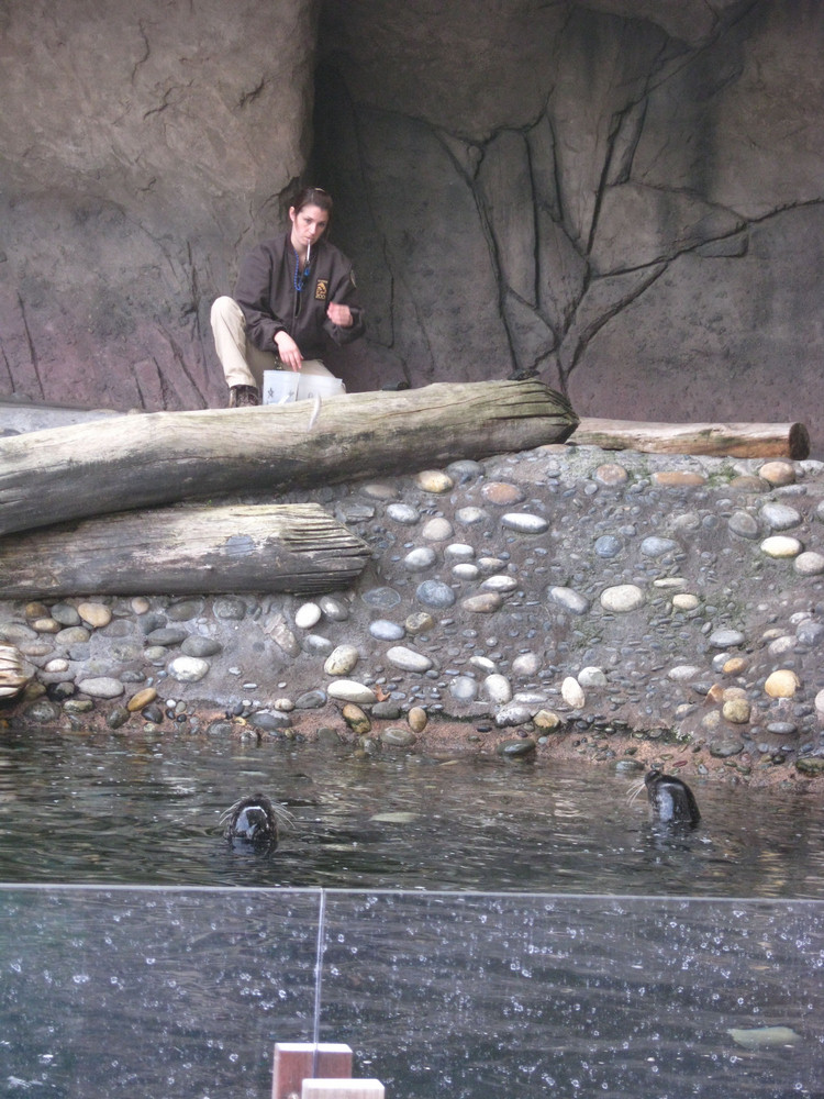 Los Angeles Zoo February 2010