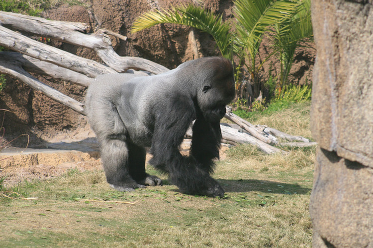 Los Angeles Zoo February 2010