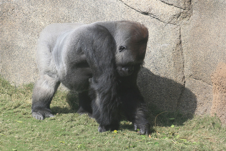 Los Angeles Zoo February 2010