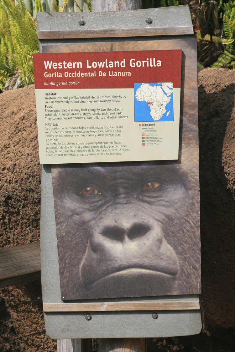 Los Angeles Zoo February 2010