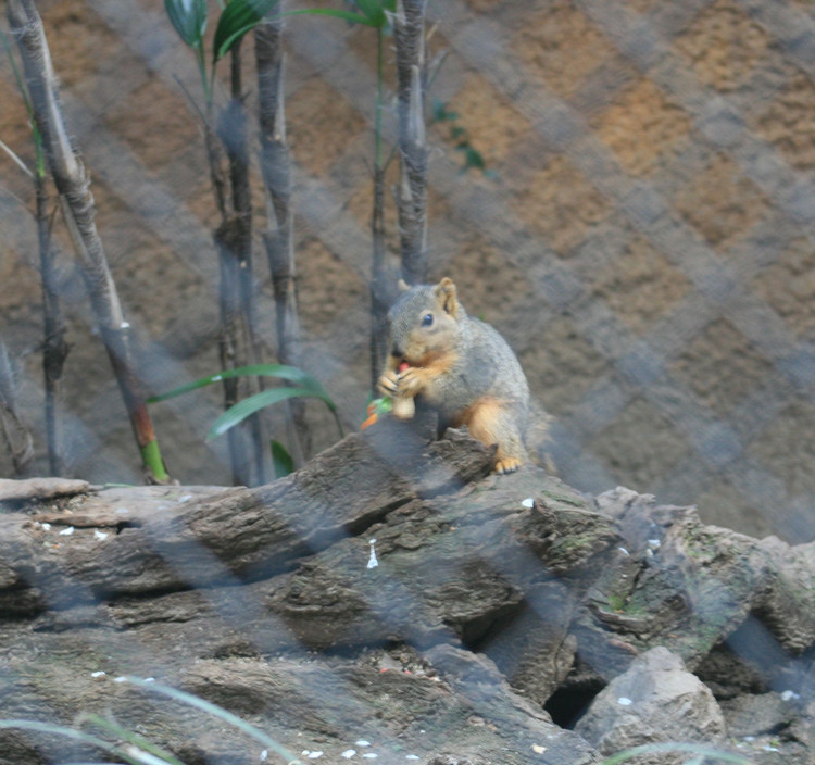 Los Angeles Zoo February 2010
