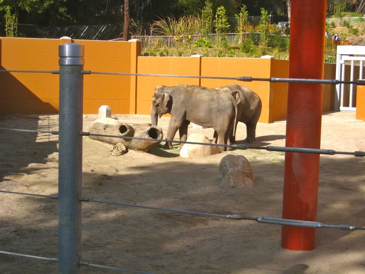 Visit to the LA Zoo Christmas 2010